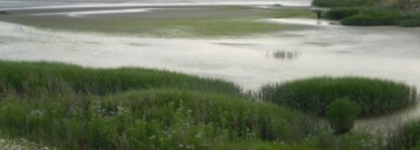 Managed realignment scheme monitoring