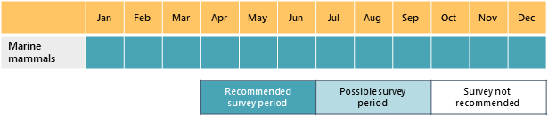 marine-mammal-survey-calendar.png